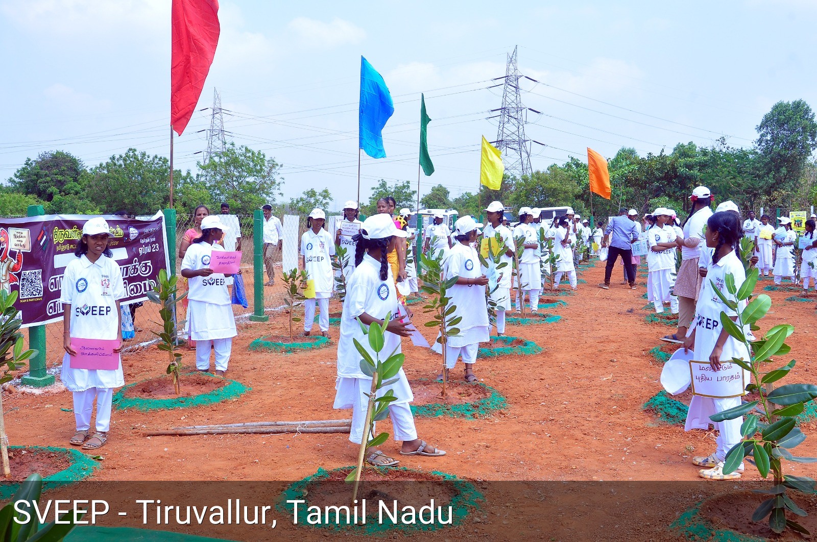 Social Media Campaign