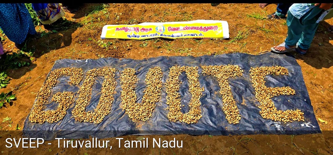 Voter Pledge Ceremony