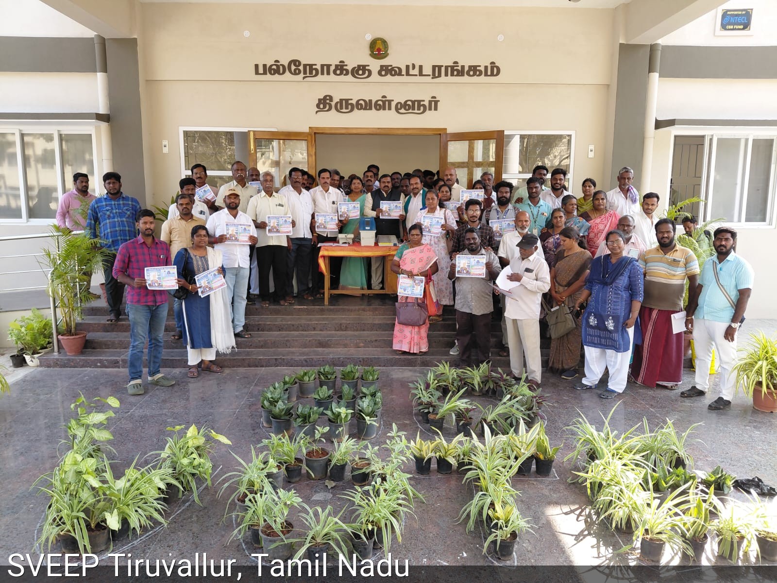 Individual Voter Pledge