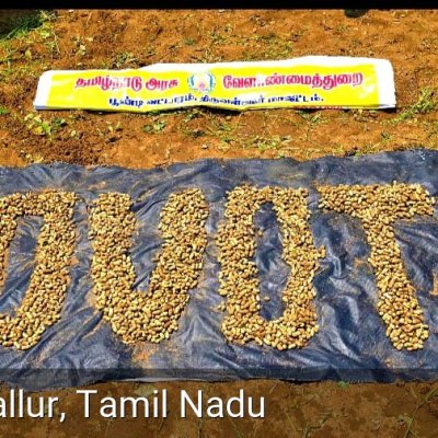 Agriculture & Allied Departments